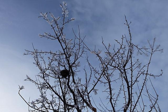 nowhere more than here right now (detail)