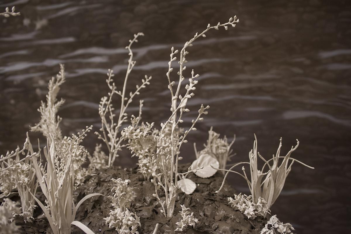 Rupture this bright surface (detail)