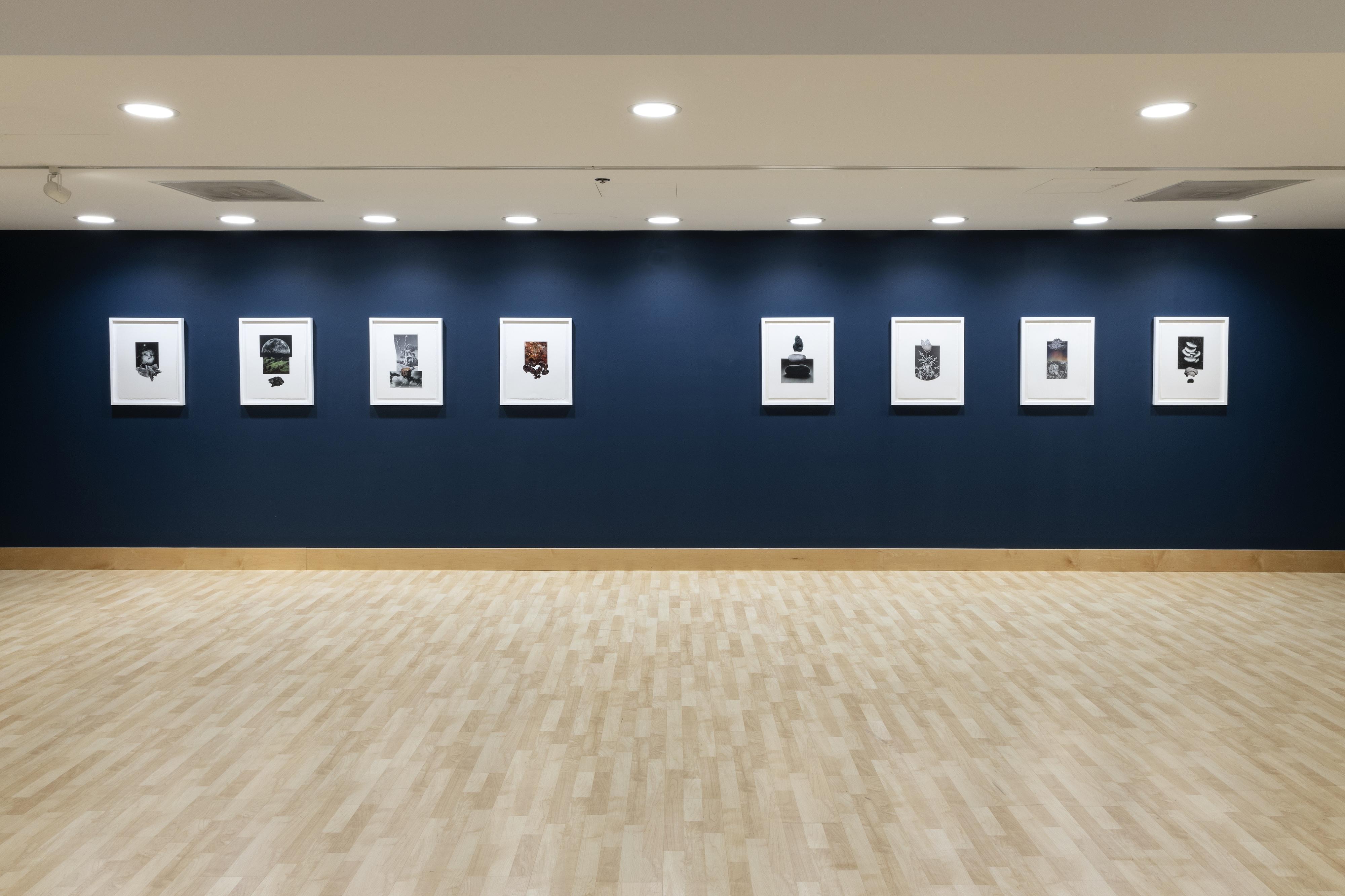 Deep Time, exhibition installation view