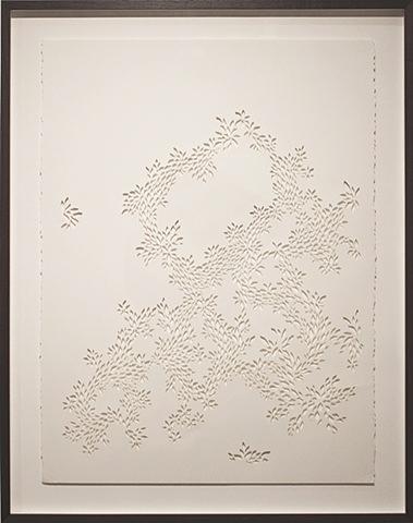 Remnants: Winter Savory