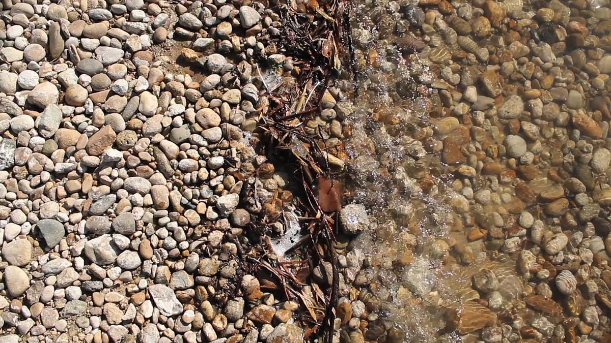 The Life of Perished Things, 2009-2013