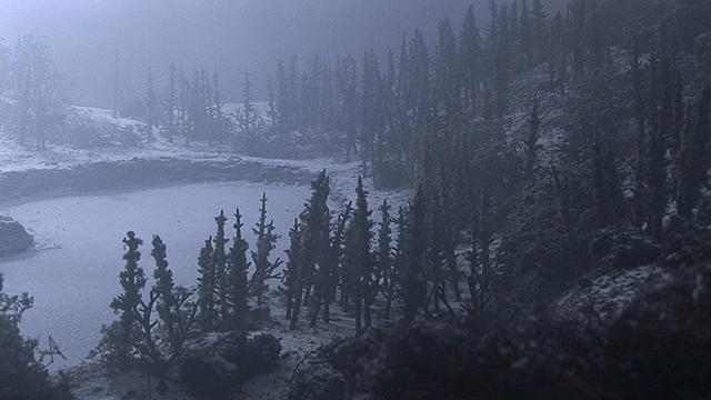 Film Still No. 5