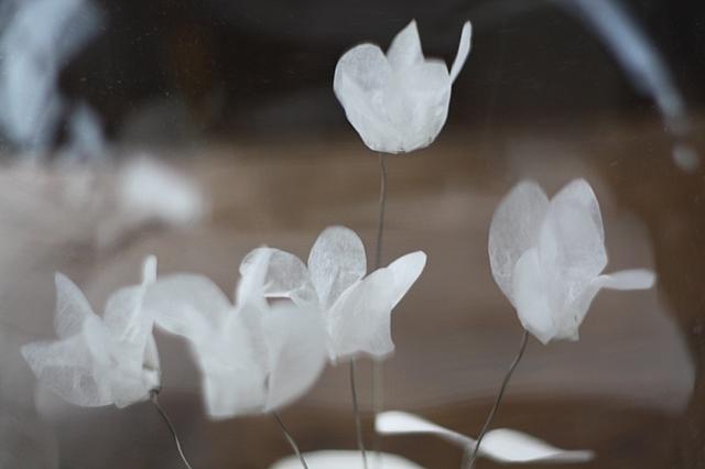 Cyclamen (detail)