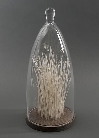 Grass