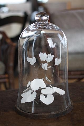 Cyclamen