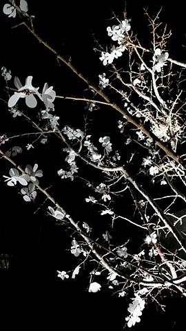 nowhere more than here right now (detail)