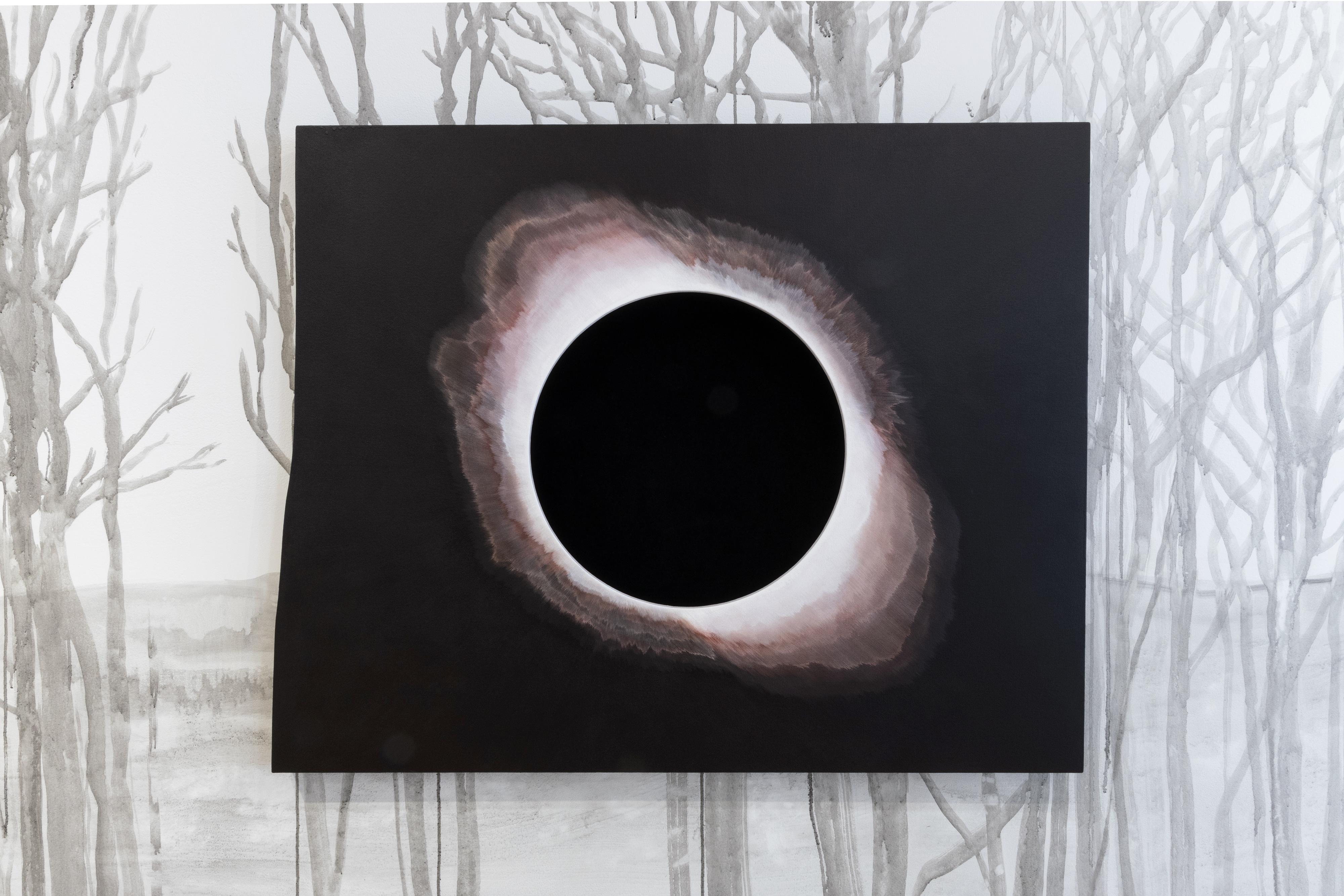 The Distant Made Near (installation: Obtaining Infinite Depth of Field)