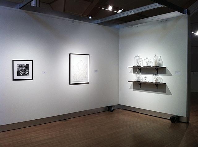 On Floriography & Remnants: Winter Savory