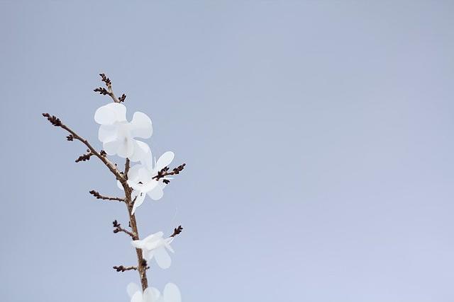 nowhere more than here right now (detail)