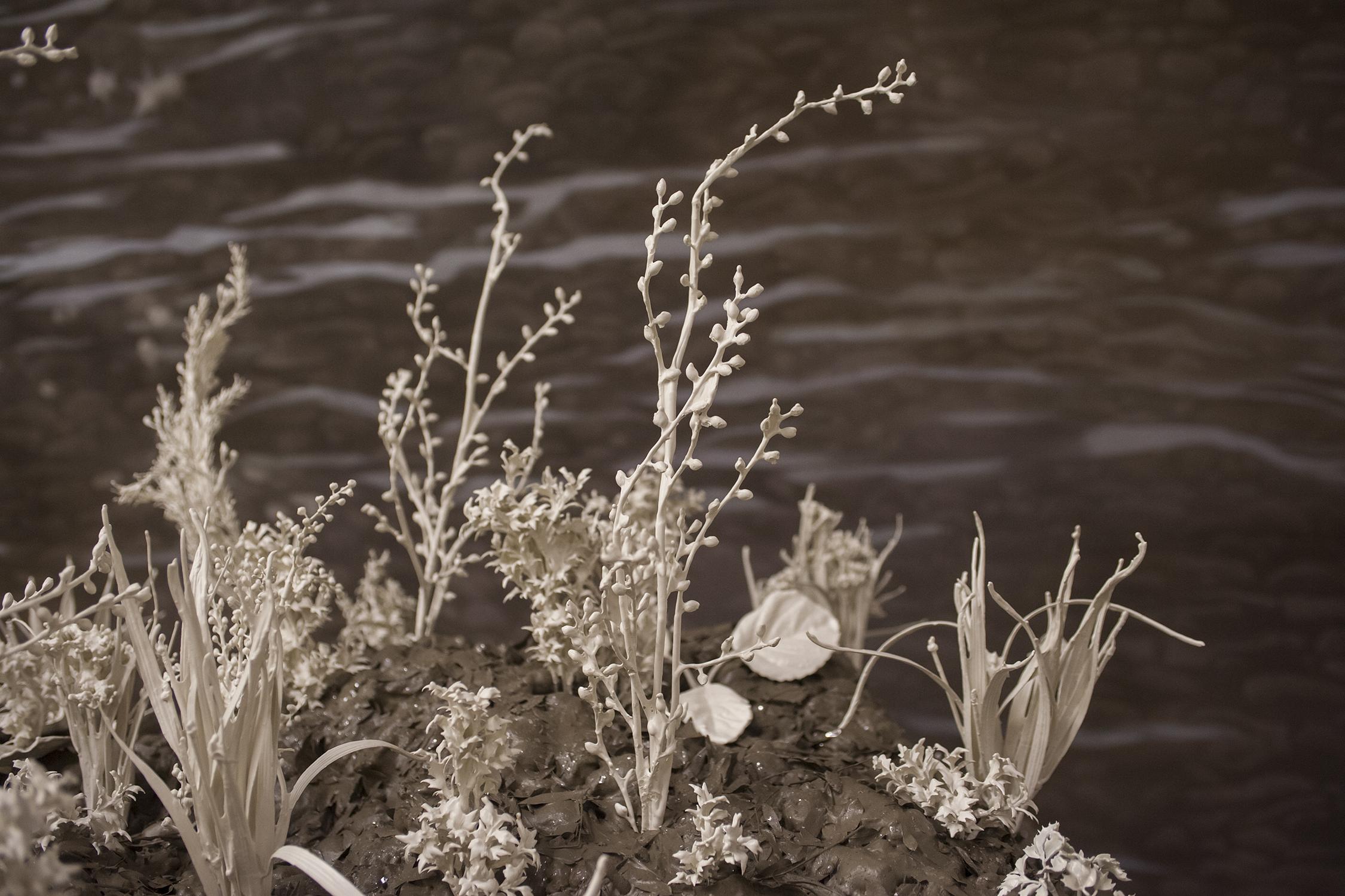 Rupture this bright surface (detail)