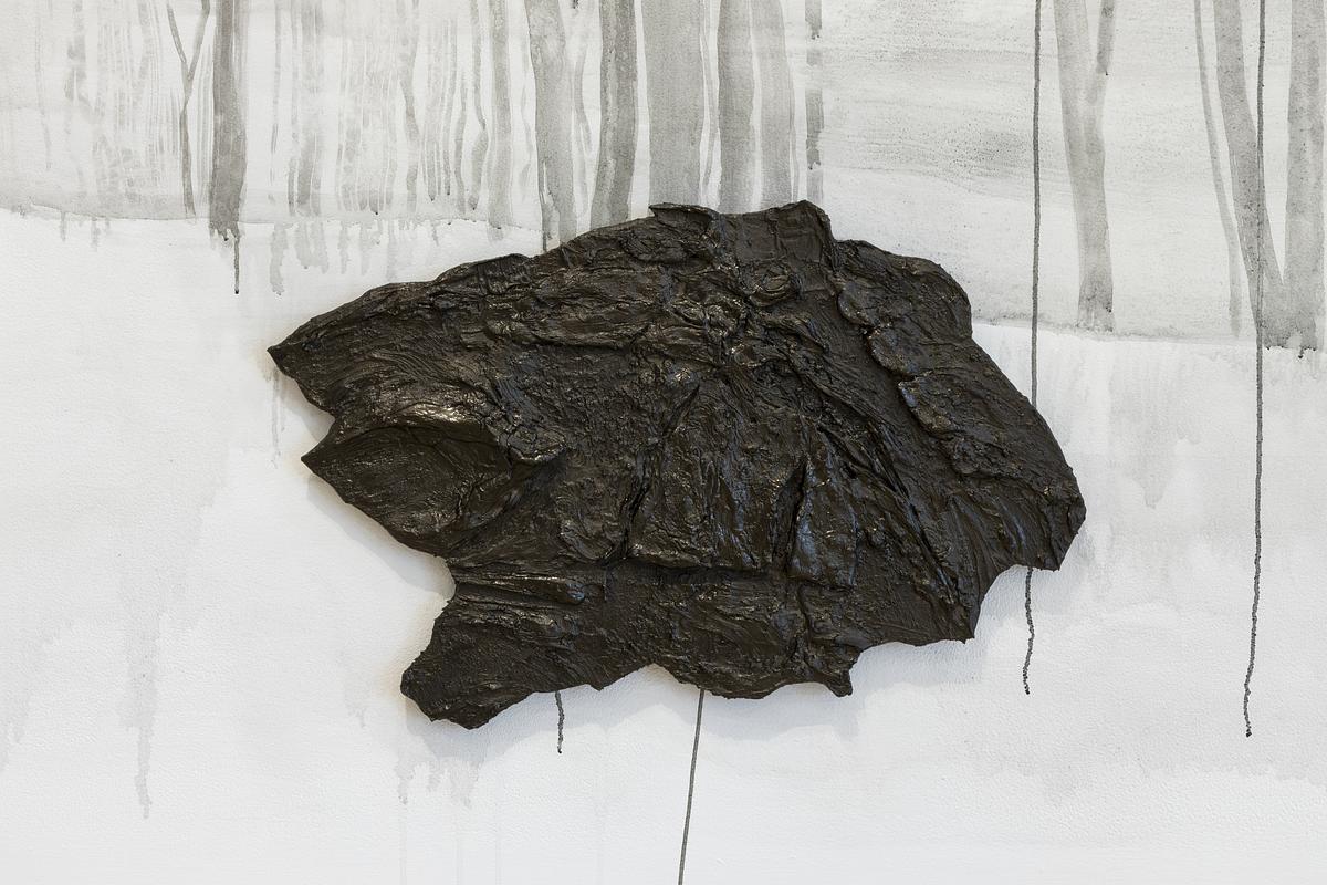 Sikhote Alin Meteorite- Aesthetic Example (installation: Obtaining Infinite Depth of Field)