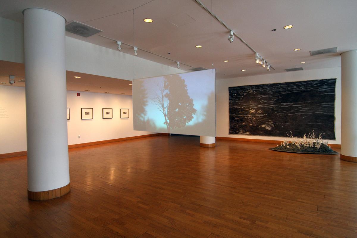 Installation View, "The Life of Perished Things" | 2013
