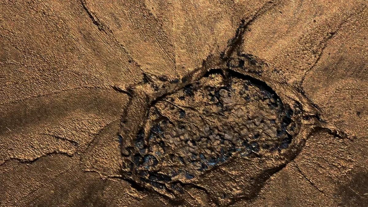 Dark Adaptation (video overview)