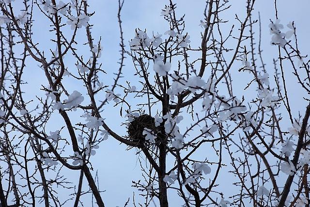 nowhere more than here right now (detail)