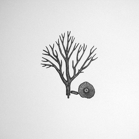 Untitled (raw materials #1)