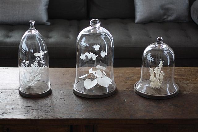 On Floriography, 2010-2012