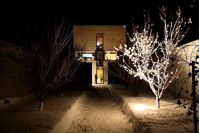 paper flowers tree spring winter